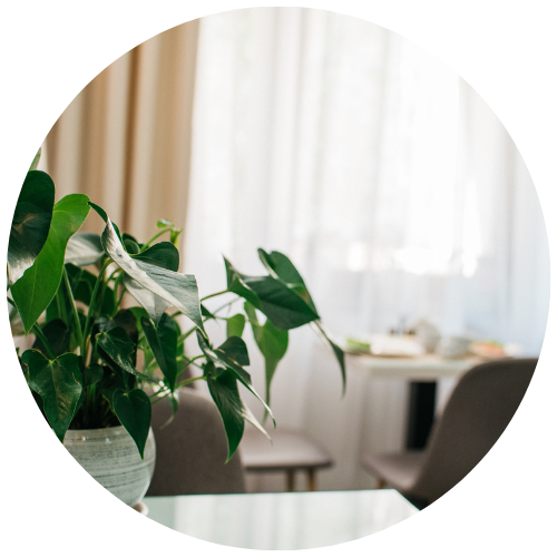 https://staging.wende.ch/wp-content/uploads/2025/03/Wohn-Coaching_Begleitetes-Wohnen_2.0.png